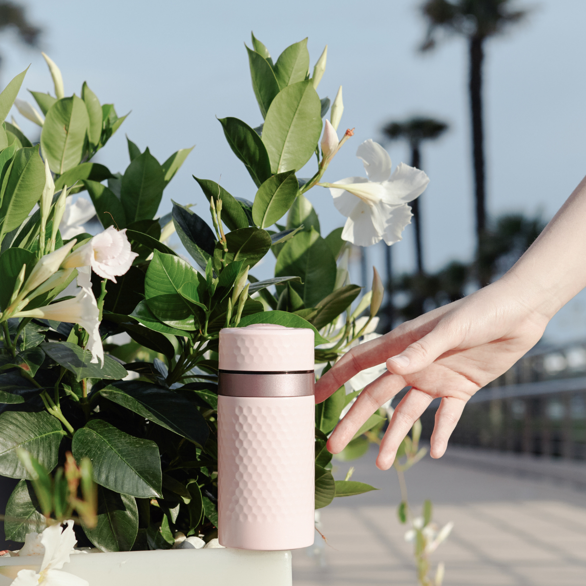Small Harmony Travel Mug